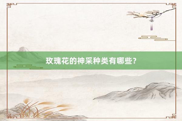 玫瑰花的神采种类有哪些？