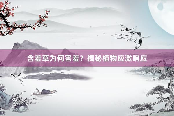 含羞草为何害羞？揭秘植物应激响应