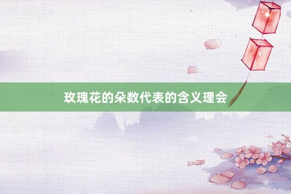 玫瑰花的朵数代表的含义理会