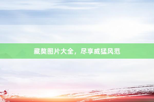 藏獒图片大全，尽享威猛风范