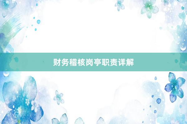 财务稽核岗亭职责详解